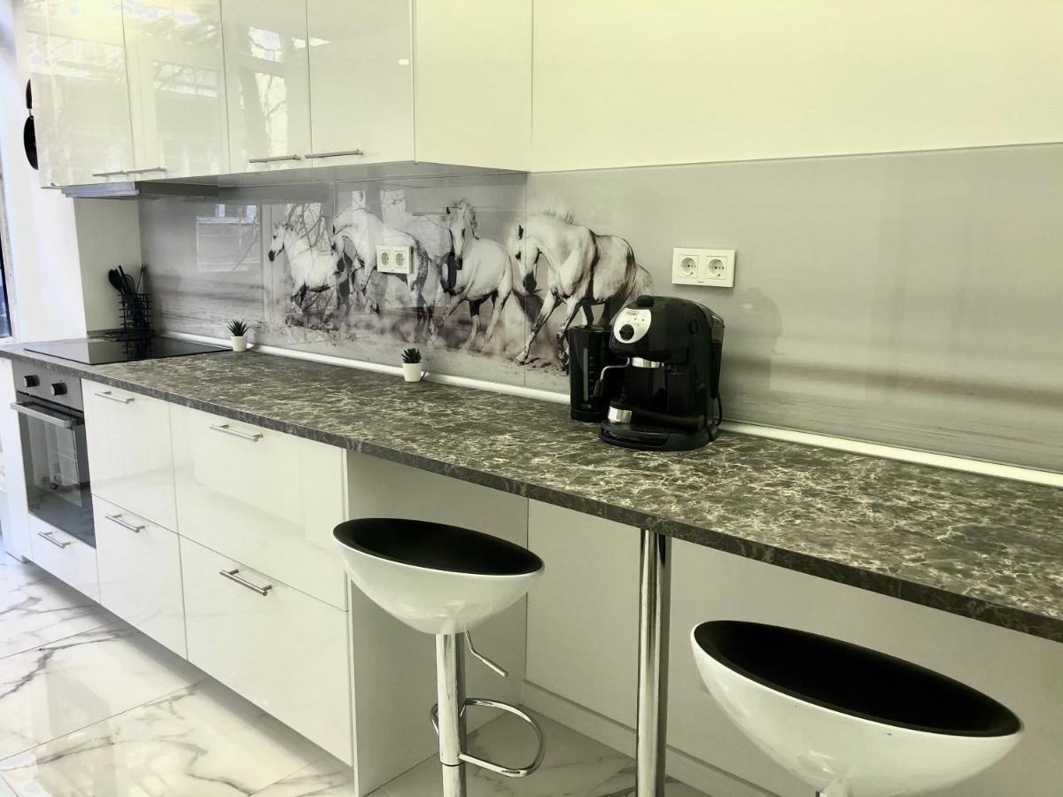 Spacious Modern Vintage Flat In The Heart Of صوفيا المظهر الخارجي الصورة